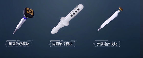Tress Urinary RF Vaginal Rejuvenation Therapy Incontinence Vaginal Clinical Studies