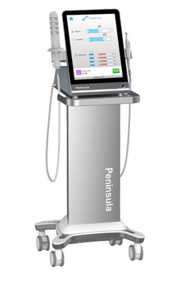 ποιότητας  Peninsula Factory Non Surgical Therapy Vaginal Rejuvenation Radio Frequency For Clinical εργοστάσιο
